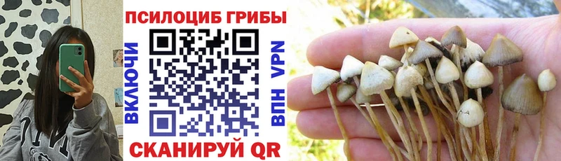 Псилоцибиновые грибы MAGIC MUSHROOMS  Пудож 